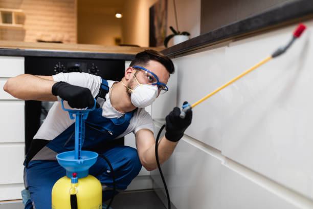 Trusted New Lexington, OH Pest Control Experts