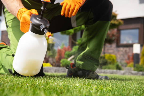 Pest Prevention Services in New Lexington, OH