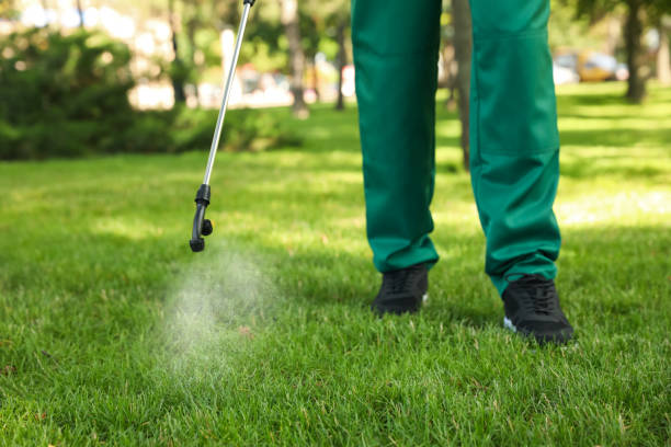 Best Affordable Pest Control Services  in New Lexington, OH