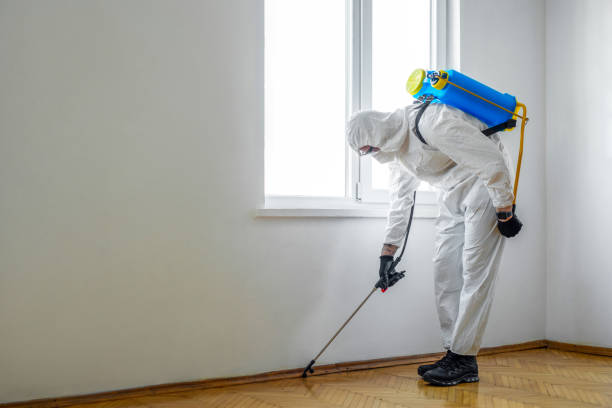 Best Ant Control Services  in New Lexington, OH