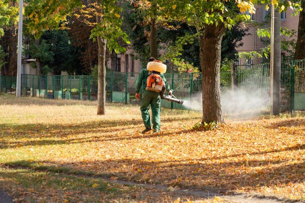 Best Exterminator Services  in New Lexington, OH